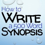 How to write a 500 word synopsis